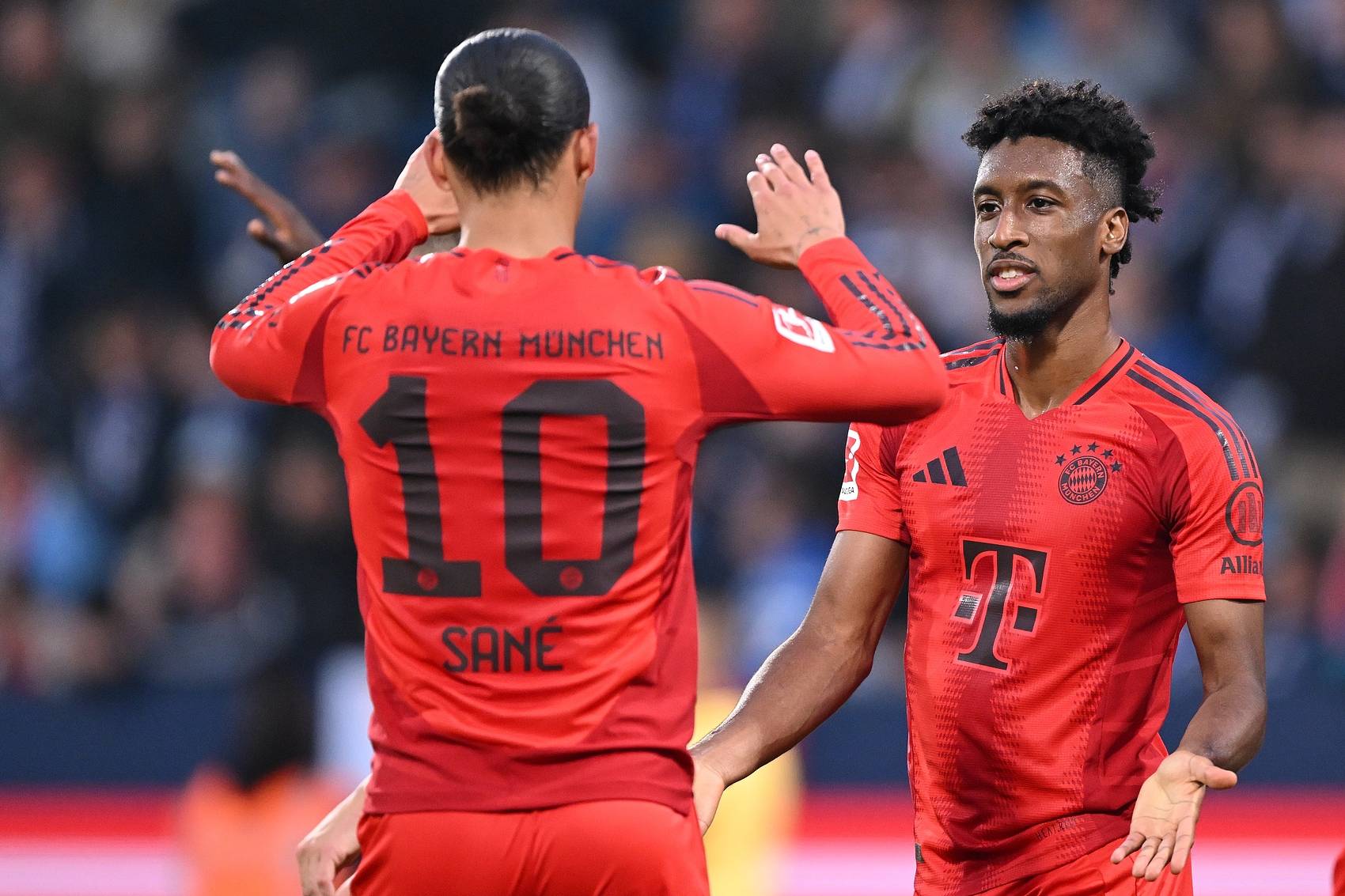 十年来我们什么经受住了来自政治经济